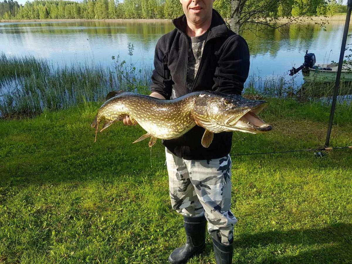 Kaijonselaen Moekit Kaita Kaitainen Exterior foto